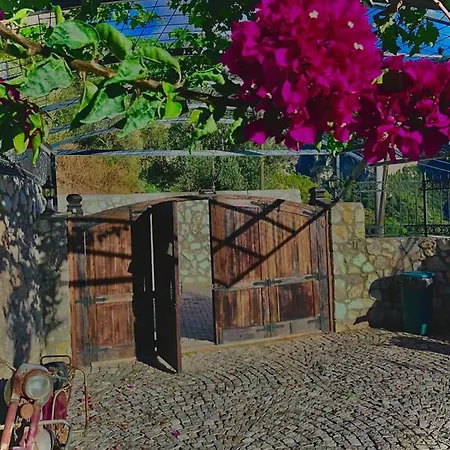 Kalabantia House *